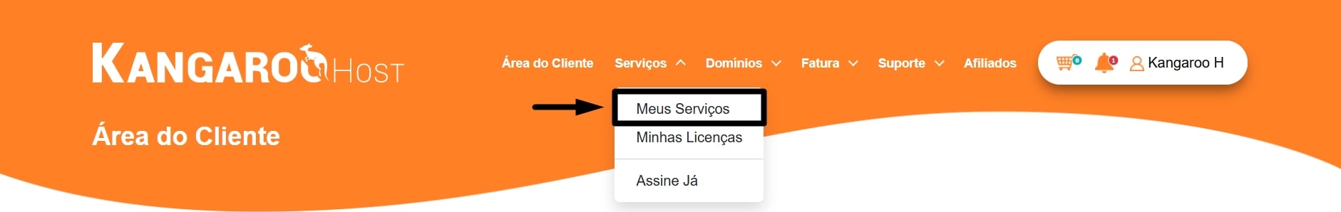 Meus servicos area do cliente