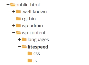 Pasta arquivos litespeed cache no WordPress